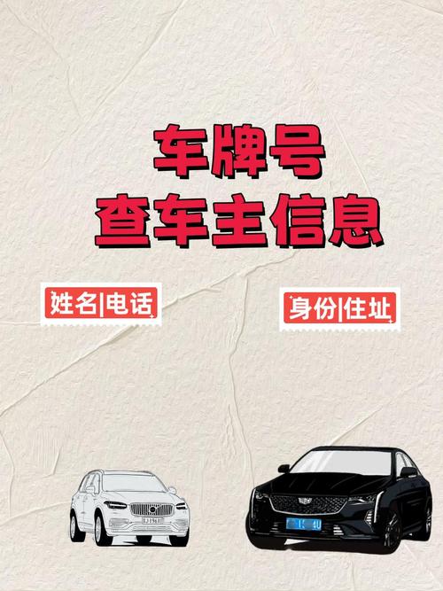 车主自己能先查吗？能，别瞎折腾