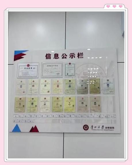 留学中介违规保录投诉公示板