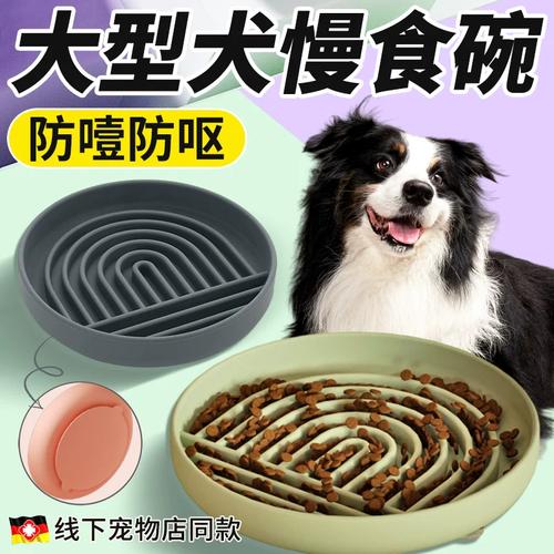 成年金毛狗用慢食碗吃饭