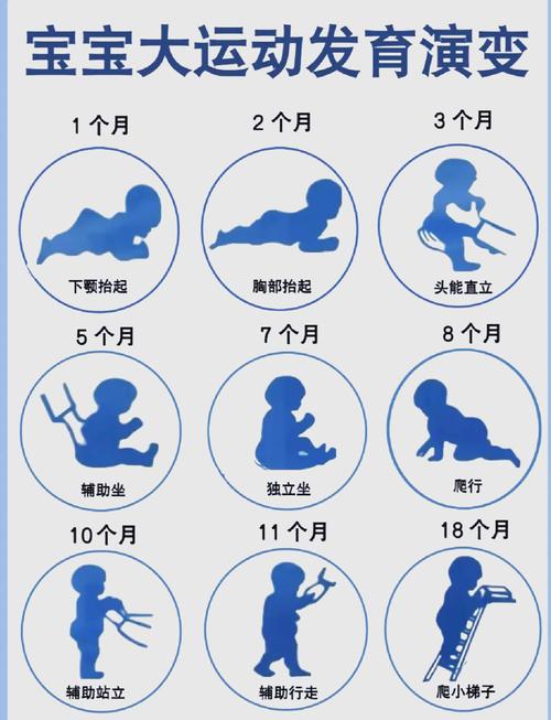 0-3月龄宝宝正确俯趴大运动发展示范图