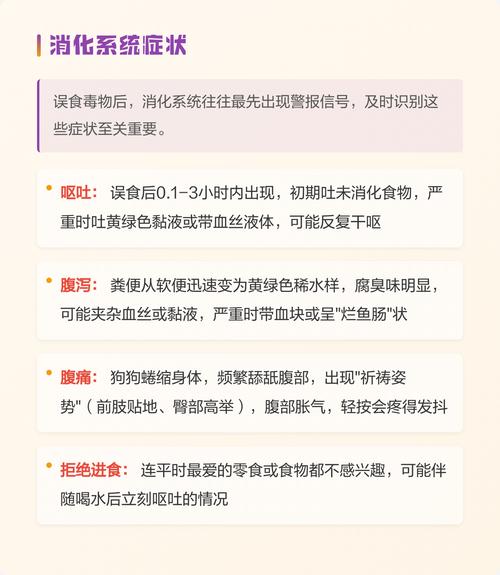 宠物误食中毒就医携带剩余毒物示例