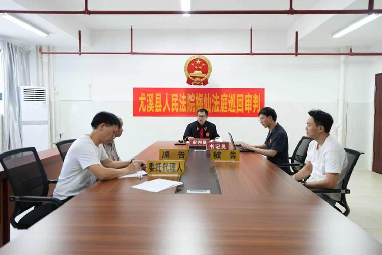 法院解除收养纠纷庭审现场记录