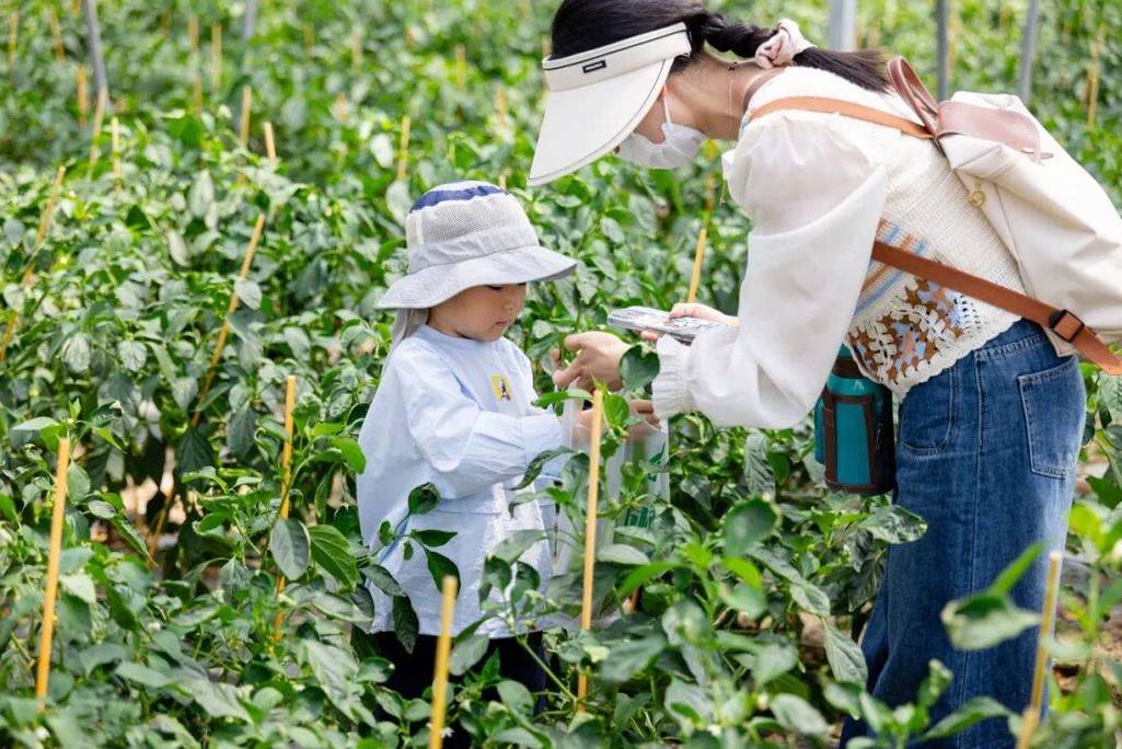 亲子户外采摘有机蔬菜温馨场景