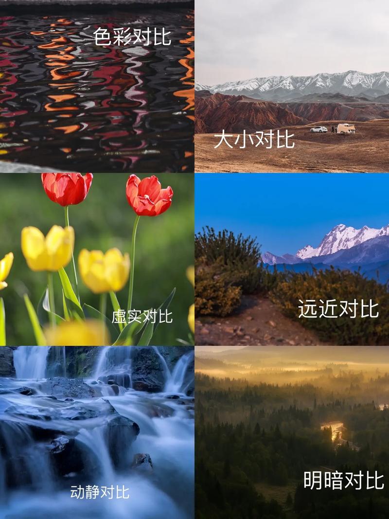 不同内容形态的适用场景对比图