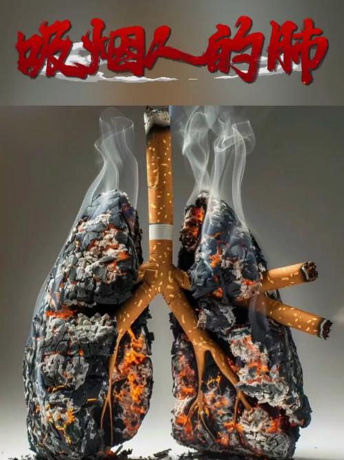 吸烟人群正常肺与受损肺对比图