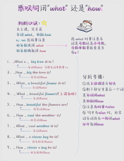 初中英语感叹句what结构分类手写笔记