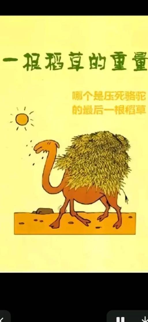 最后一根稻草