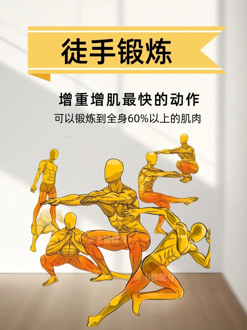 居家徒手肌肉维持练习动作示范图