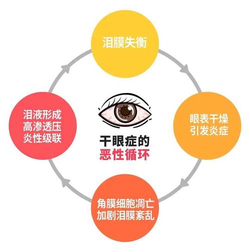 干眼症泪膜破裂过程示意图