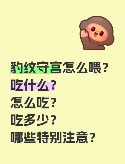 喂饭那些事，别硬套攻略
