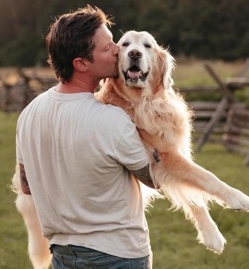 金毛犬扑向主人热情欢迎的场景