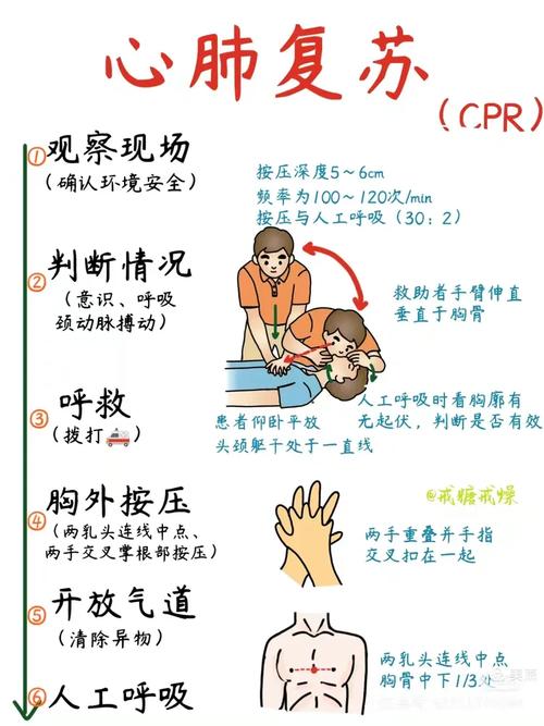 家庭急救止血步骤示意图