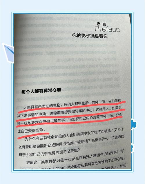 四、我的个人怪癖与推荐
