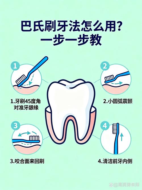 巴氏刷牙法牙刷斜45度放置示意图