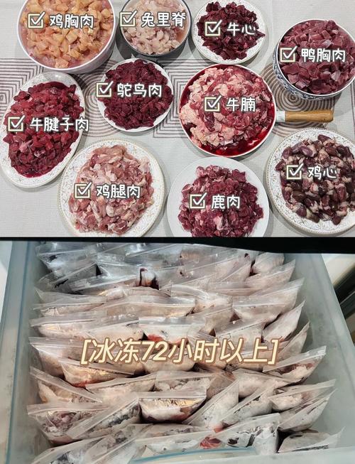 家庭自制猫咪生骨肉食材配比参考表