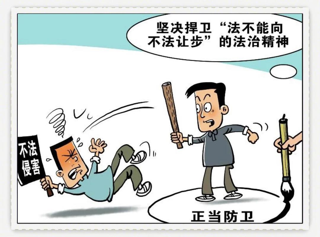 防卫过当的法律精准画像