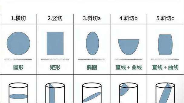 小学生手工裁剪圆柱侧面实操场景图