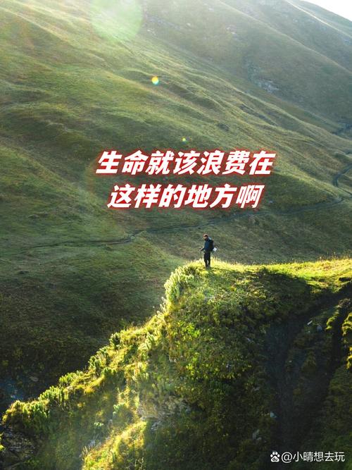 一粒米的来路，比你想象的更汹涌