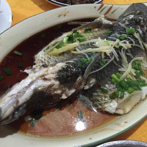 湖北南漳漳河边农家乐清蒸大头鱼
