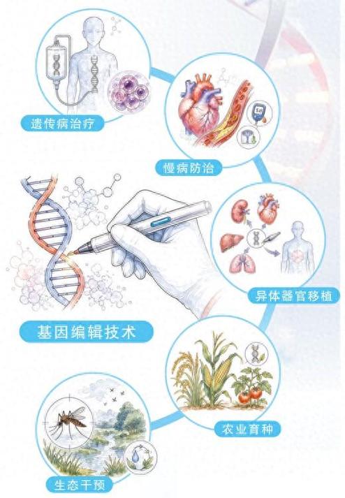 单基因遗传病基因编辑治疗临床应用场景示意图