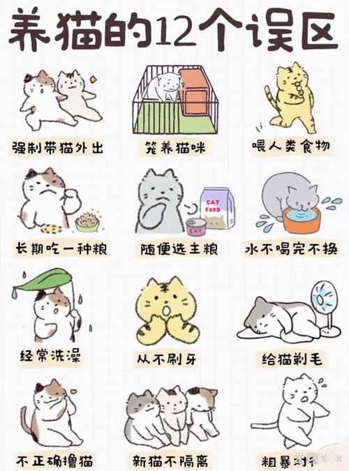 真中招了,日常要怎么养才对