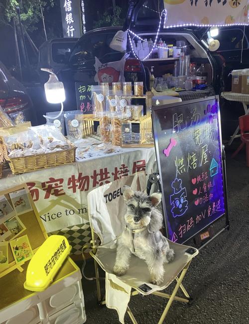城市宠物公园新消费宠物零食试吃摊