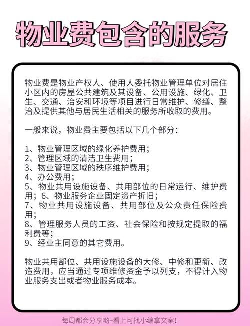 要看项目包含的具体服务内容