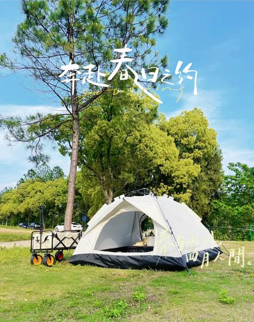 露营回家后在阳台摊开晾晒的户外双层帐篷