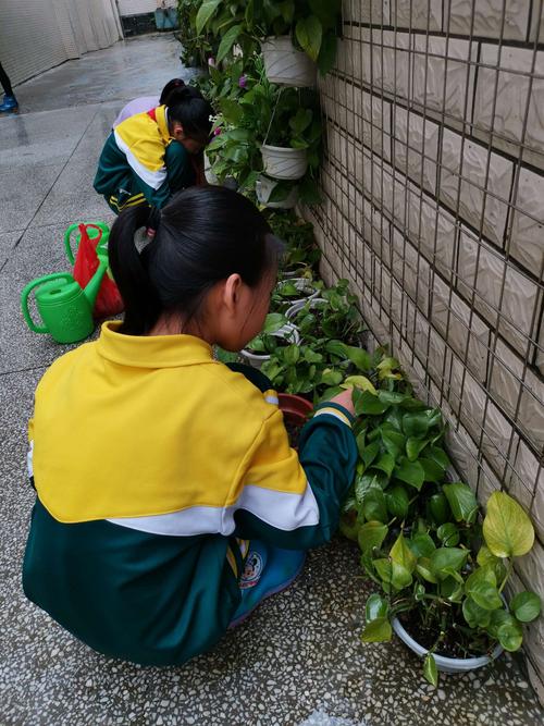 小学生蹲校园花坛观察蚜虫场景