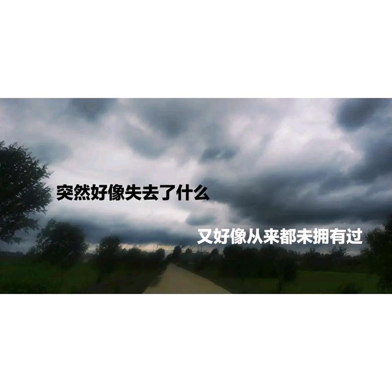 我们失去了什么