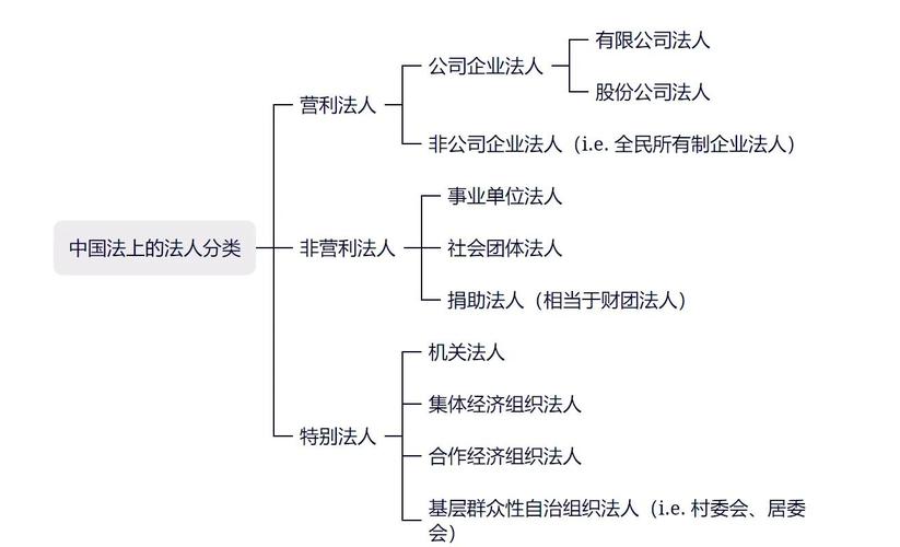 非法人组织与法人资格对比图