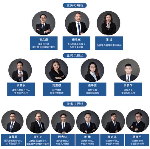 专业细分团队核心律师介绍