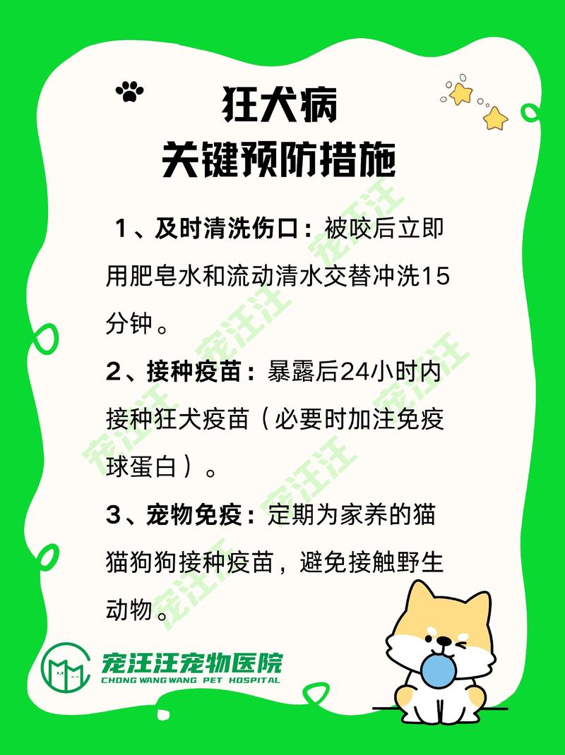 什么时候必须去找兽医？