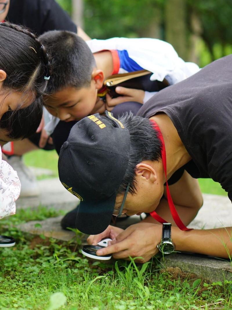 小孩蹲在草地上用放大镜观察昆虫的博物教育场景