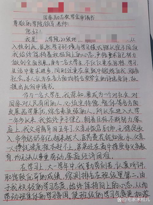 国家奖学金申请个人陈述优秀范文截图