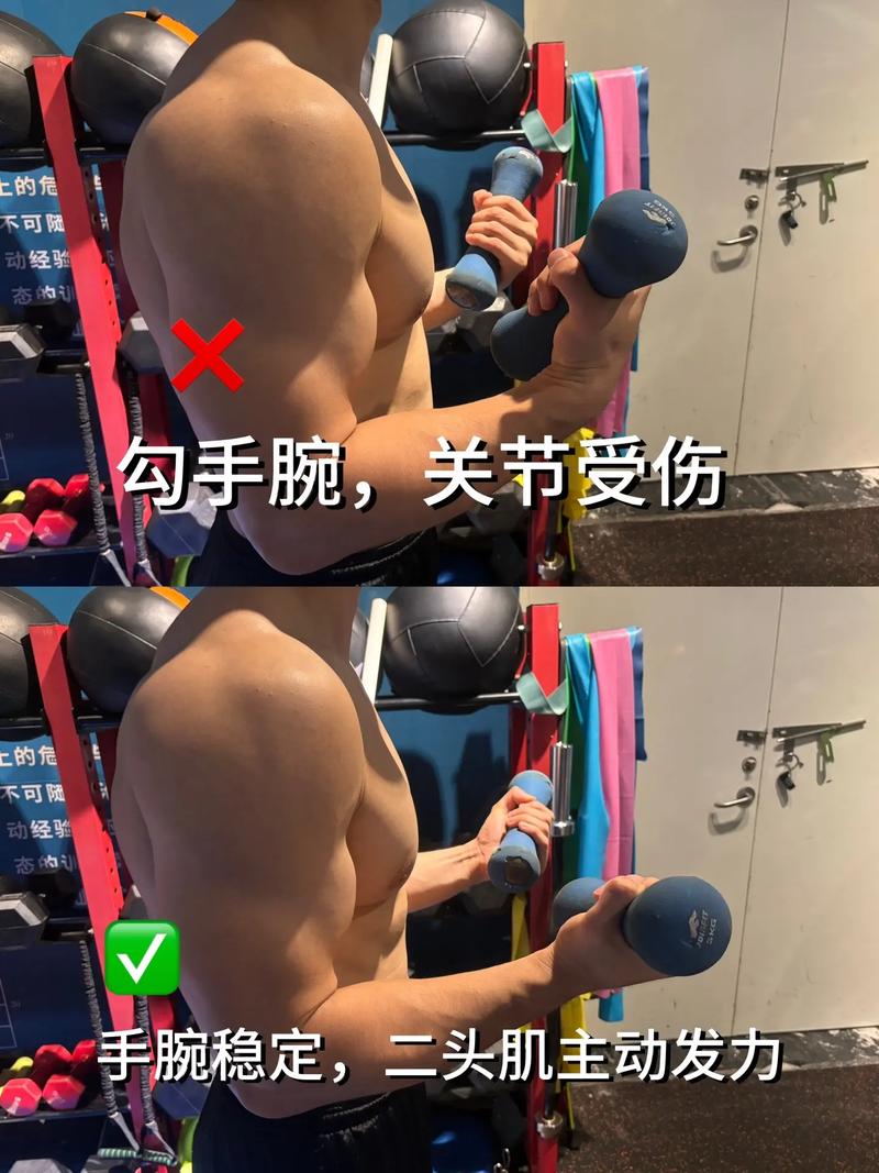 哑铃弯举标准动作与错误动作对比图