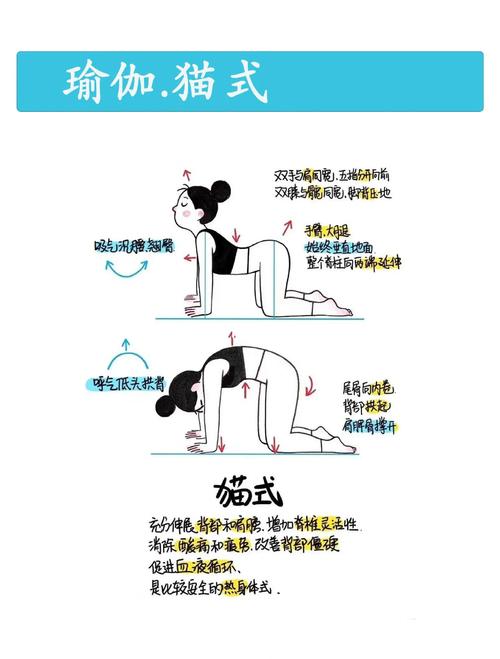 3岁亲子儿童瑜伽小猫伸懒腰动作示范图