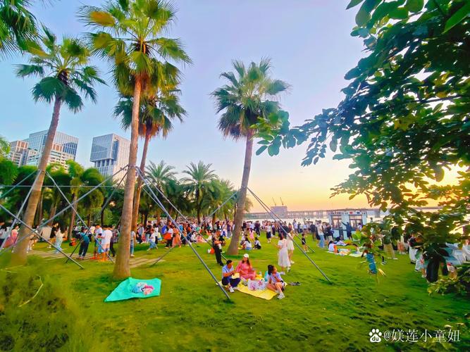 珠海海滨公园草坪人群