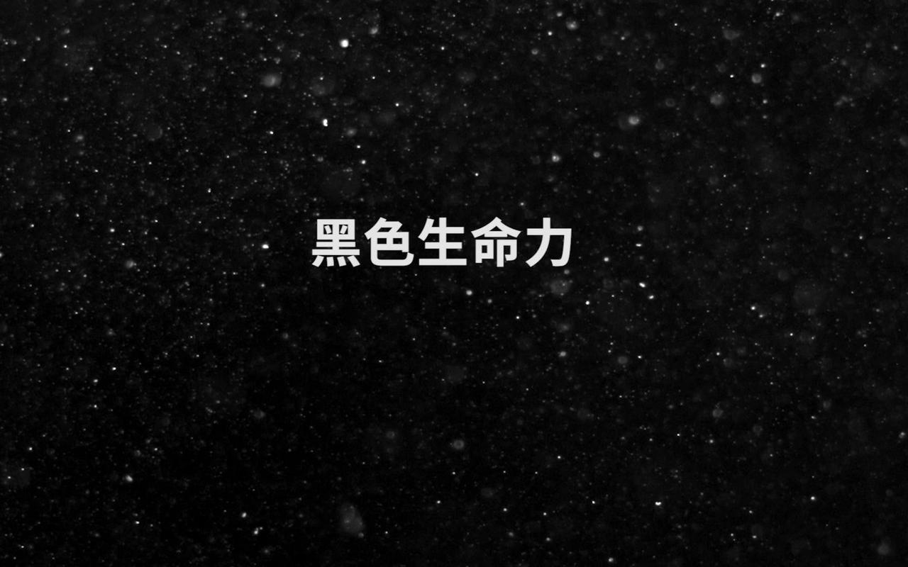 黑，才是生活的缓冲带