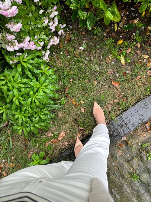 赤脚踩在清晨沾满露水的草地上