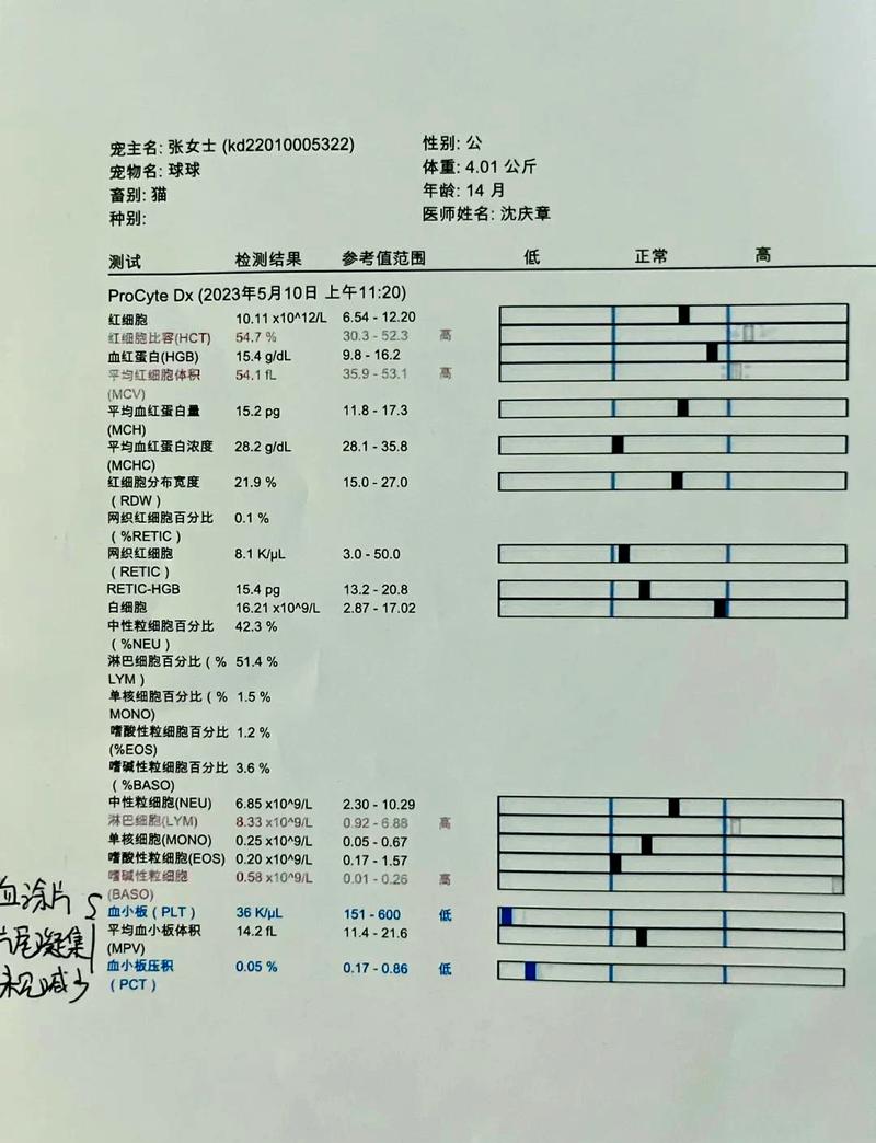 猫咪配种前传染病筛查体检报告