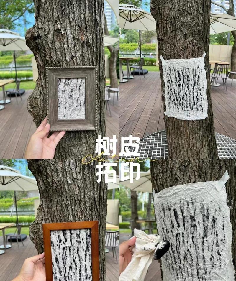 亲子户外拓印城市老树干纹理活动