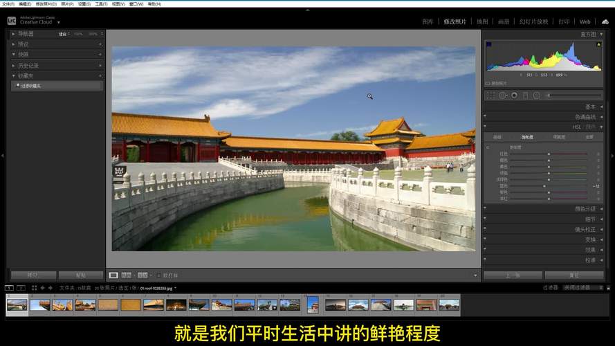 Lightroom手机版手动调色界面截图