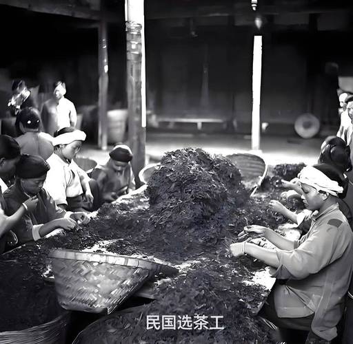 武夷山本地老茶农在自家作坊泡岩茶的真实场景