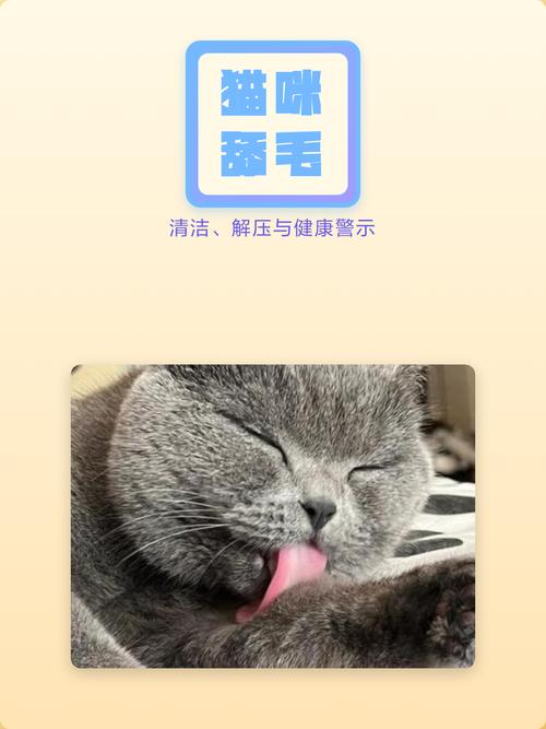06 舔毛:不止爱干净