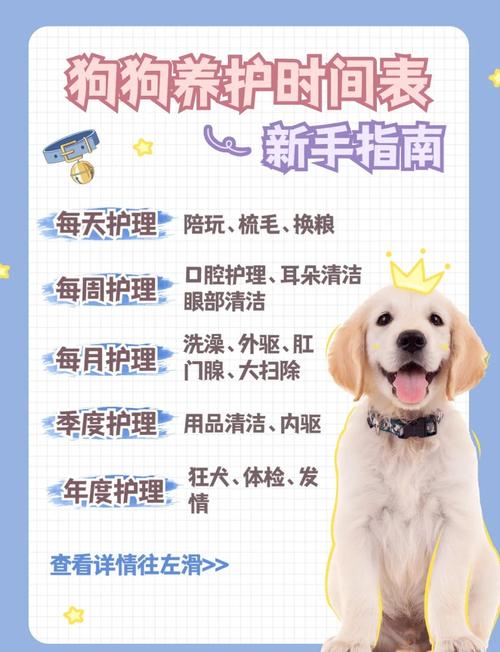 日常养宠能做的几件事