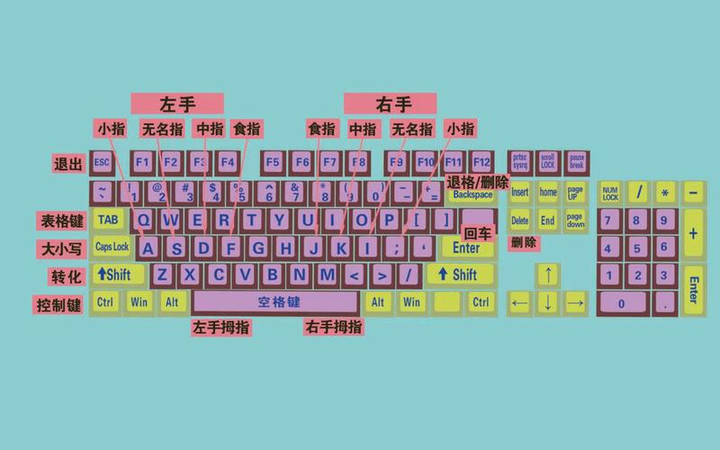 中小学信息课学生练习键盘基准键位图