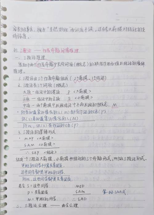 法庭法官法律适用推理手写笔记
