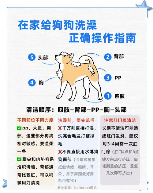 家庭养宠预防人畜共患病清洁步骤图