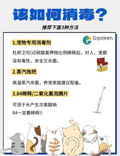 日常养宠，消毒到底怎么做才对